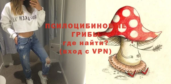 молекула духа Алексеевка