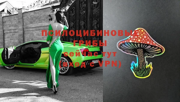 молекула духа Алексеевка