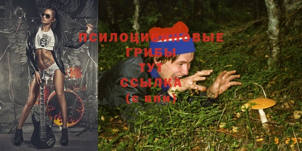 скорость Абаза