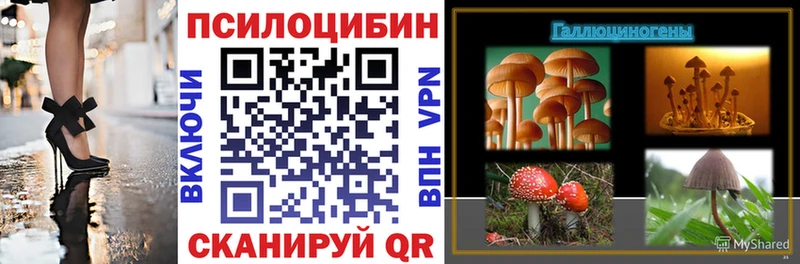 Псилоцибиновые грибы Cubensis  Ладушкин 